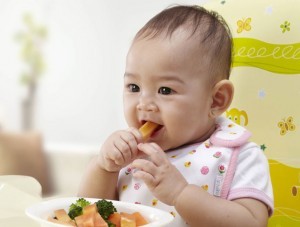 Makanan Padat Untuk Bayi
