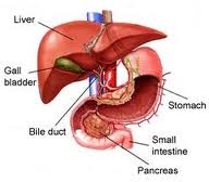Pengobatan Penyakit Liver yang Mematikan